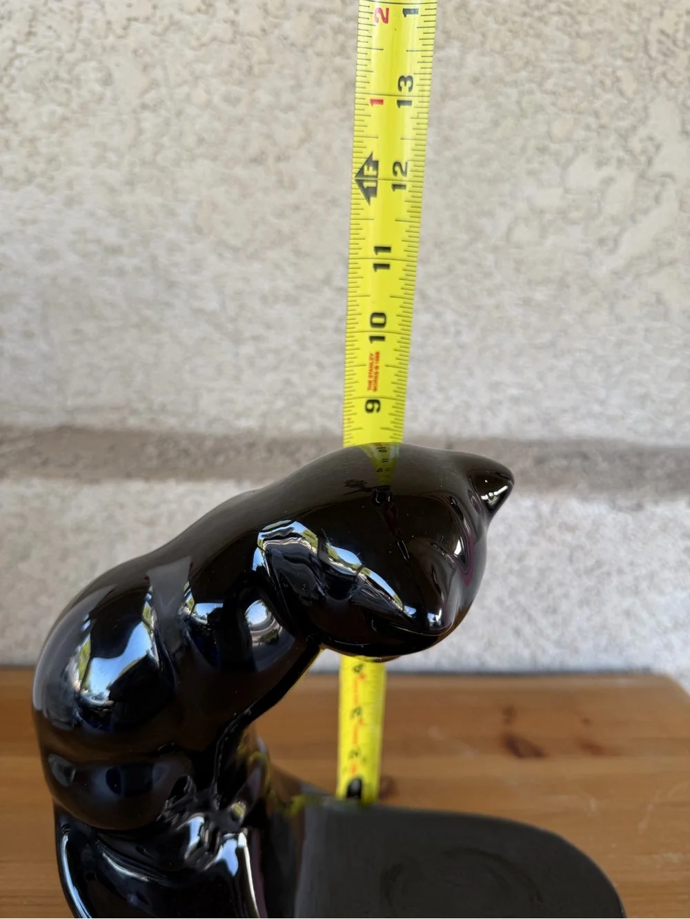 Black glossy cat